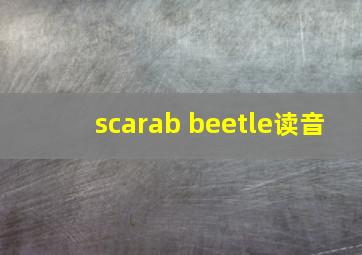 scarab beetle读音